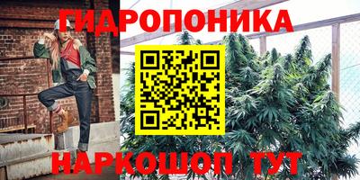 a pvp Тулун