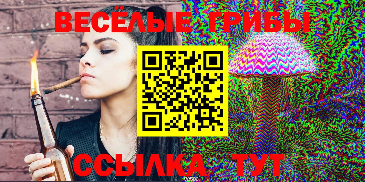 Псилоцибиновые грибы Psilocybe Дюртюли