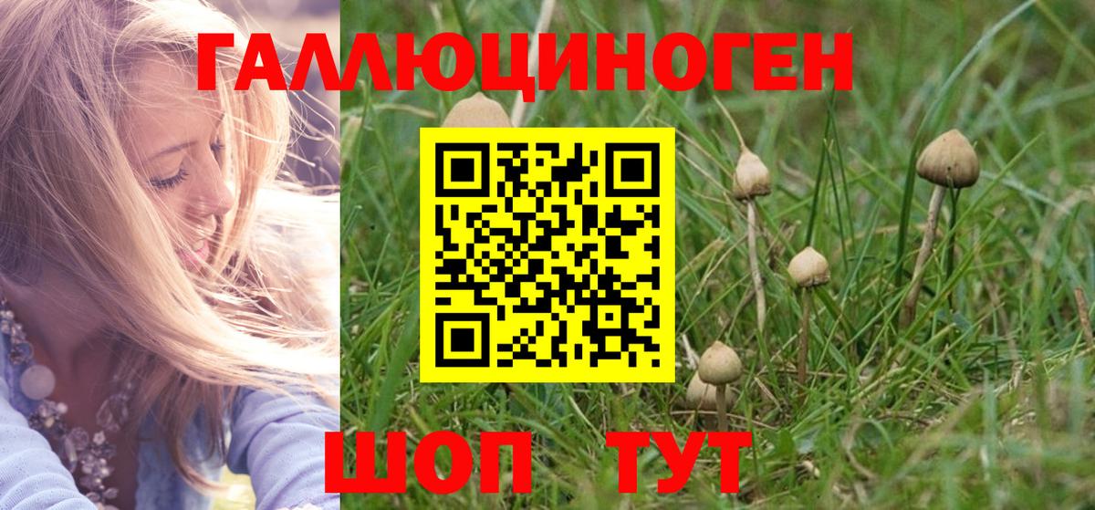 что такое   Галлюциногенные грибы мухоморы  Вход с VPN  Дюртюли 